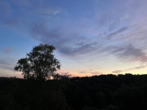 Ferienwohnungen Waldblick